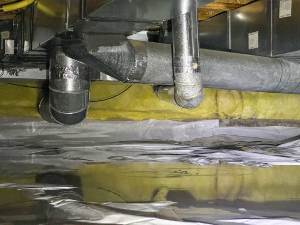 Best Water damage cleanup near me  in Atkins, IA