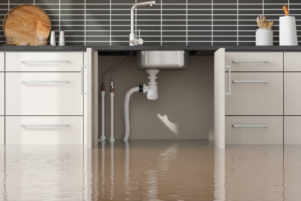 Best Professional water damage repair  in Atkins, IA
