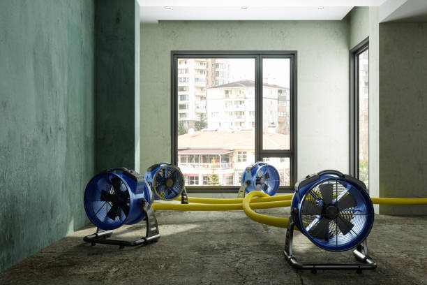 Professional Water damage restoration in Atkins, IA